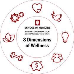 Wellness Wheel With Icons Final 1024×1024