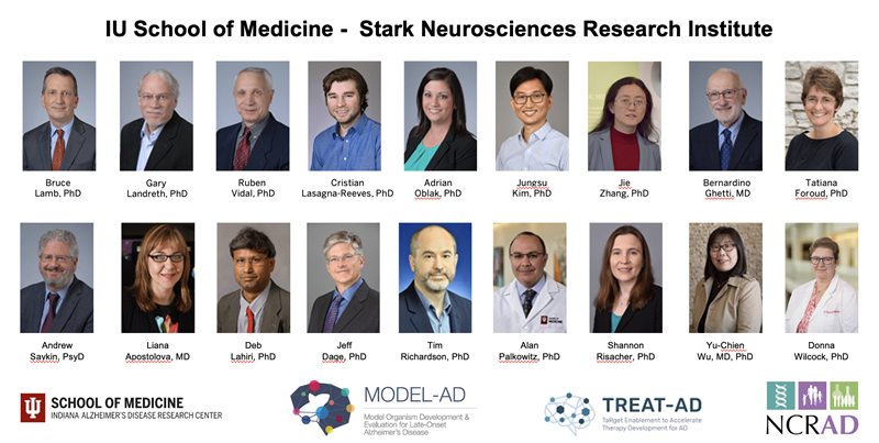 Stark Neurosciences Research Institute team
