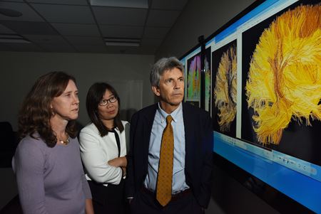 Brenna McDonald, Yu-Chien Wu and Thomas McAllister look at brain scans
