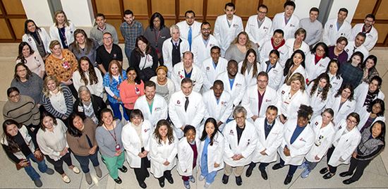 Group photo of the Division of Gastroenterology and Hepatology