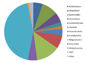 Pie Chart Showing Small Intestinal Bacterial Overgrowth Data