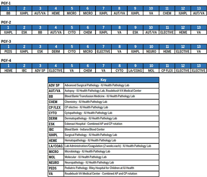 Pathology Sample Resident Schedule