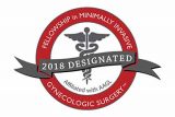 Minimally Invasive Gynecologic Surgery Fellowship