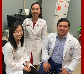 Drs. Yujin Park, Angela Chen, and Kevin Lopez are residents participating in research years in Dr. Burcin Ekser's xenotransplantation lab. 